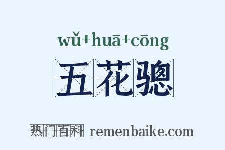 五花骢是什么意思的图片